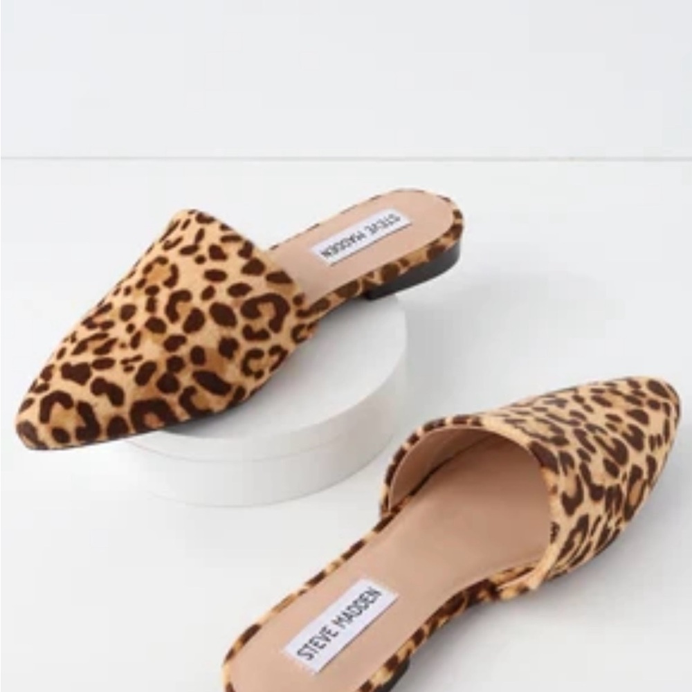 Steve Madden Leopard-Print Pointed Toe Mule - Tan & Brown